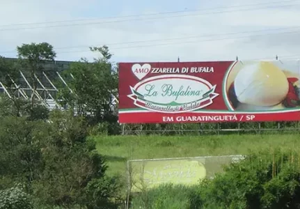 Painel Rodoviario (Front Light) BR-116 Rodovia Presidente Dutra