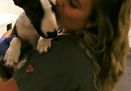 Cães Mancando