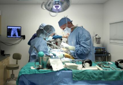 Veterinário Cirurgia