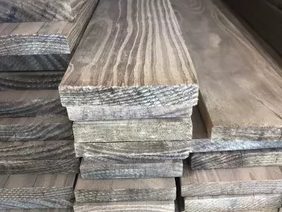 Eucalipto Tratado No Ceará