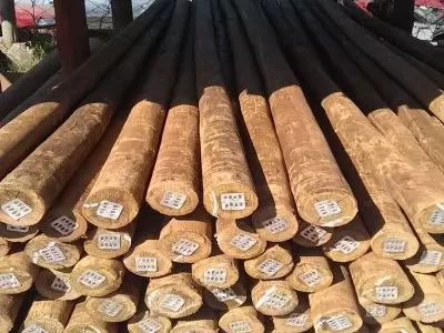 Mourões de Eucalipto Tratado em Minas Gerais