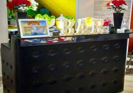 Barman para Festas: Fashion Bartenders Transforma Seu Evento