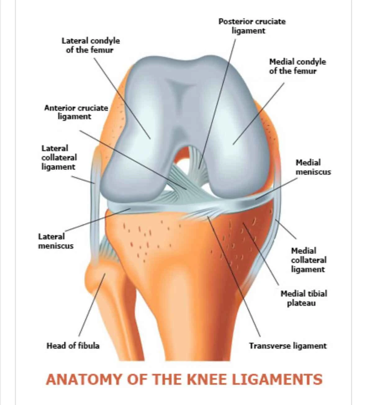 Como tratar lesão do ligamento