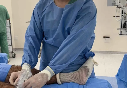 O melhor Ortopedista de joelho em SP