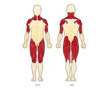 Reumatologista que trata polimiosite