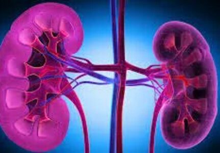 Reumatologista que trata LES em SP