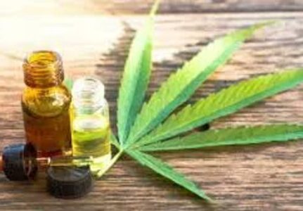 Reumatologista que trata com canabidol