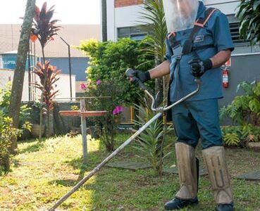 Terceirização de Jardinagem