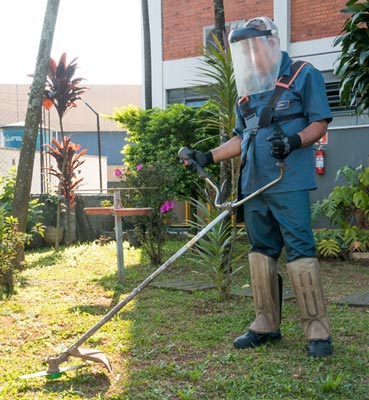 Terceirização de Jardinagem