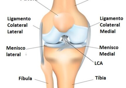 Cirurgião especialista em joelho