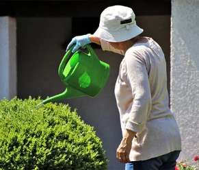 Lar para idosos em SP
