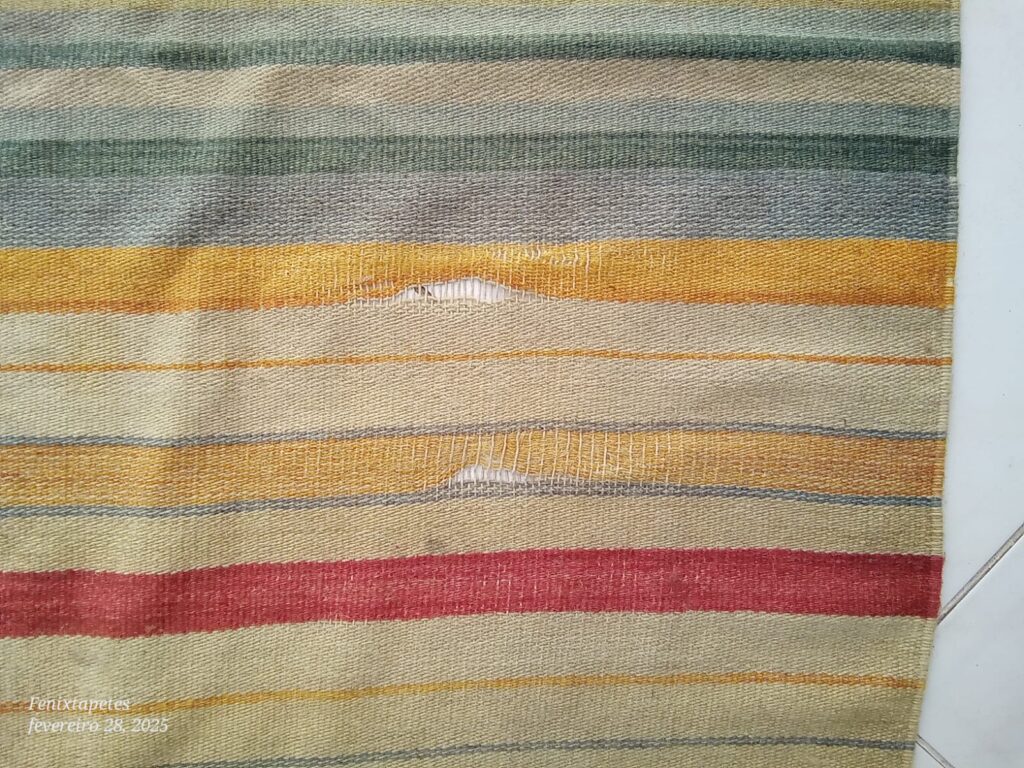 A melhor empresa de higienização de tapete