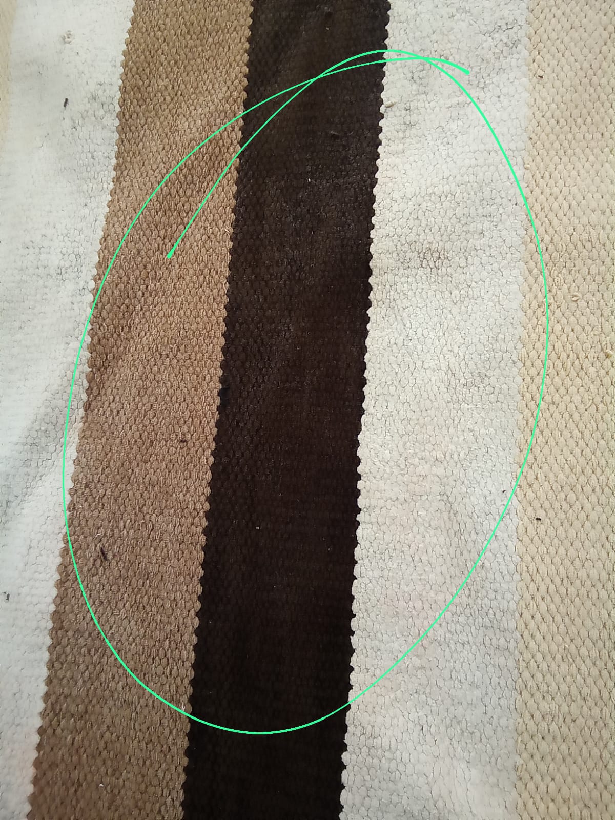 A Melhor Empresa de Lavagem de Tapetes