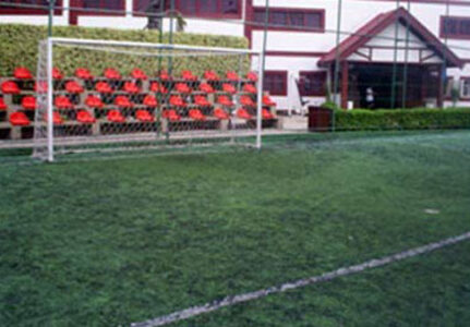 Campo de Grama Sintética