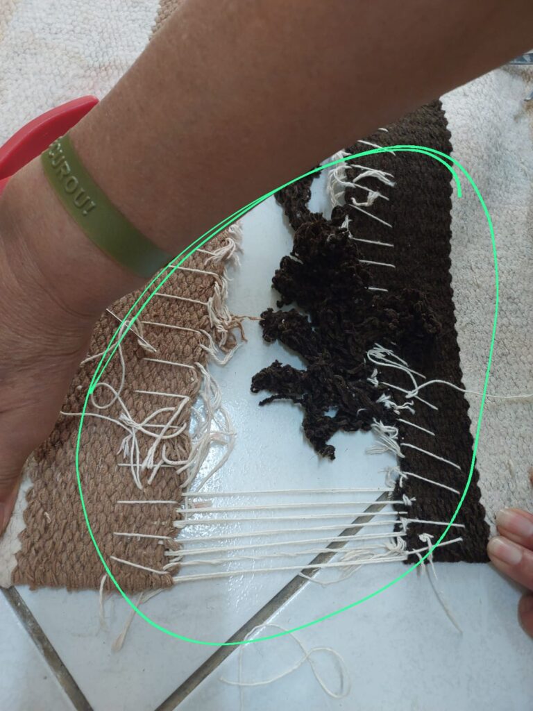 Lavagem de tapetes em São Paulo