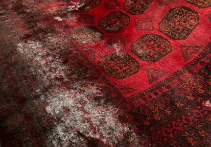 Lavagem de Tapetes na Zona Norte