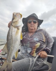 Pescaria Com Jig Head