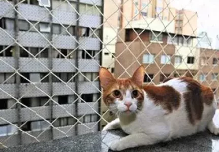 Redes de Proteção para Gato