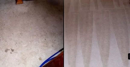 Lavagem de carpetes em Osasco