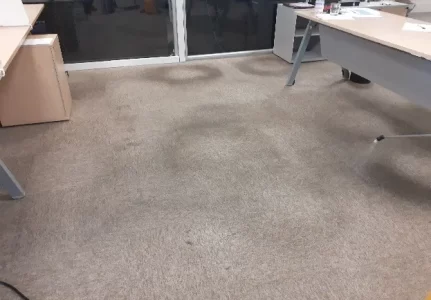 Limpeza de carpetes em Guarulhos