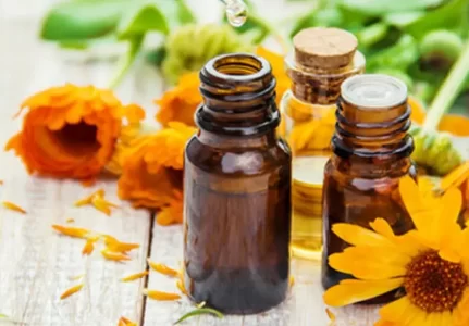 Como Usar Florais de Bach