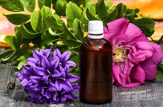 Terapia com Florais em Guarulhos