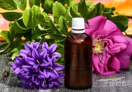 Terapia com Florais em Guarulhos