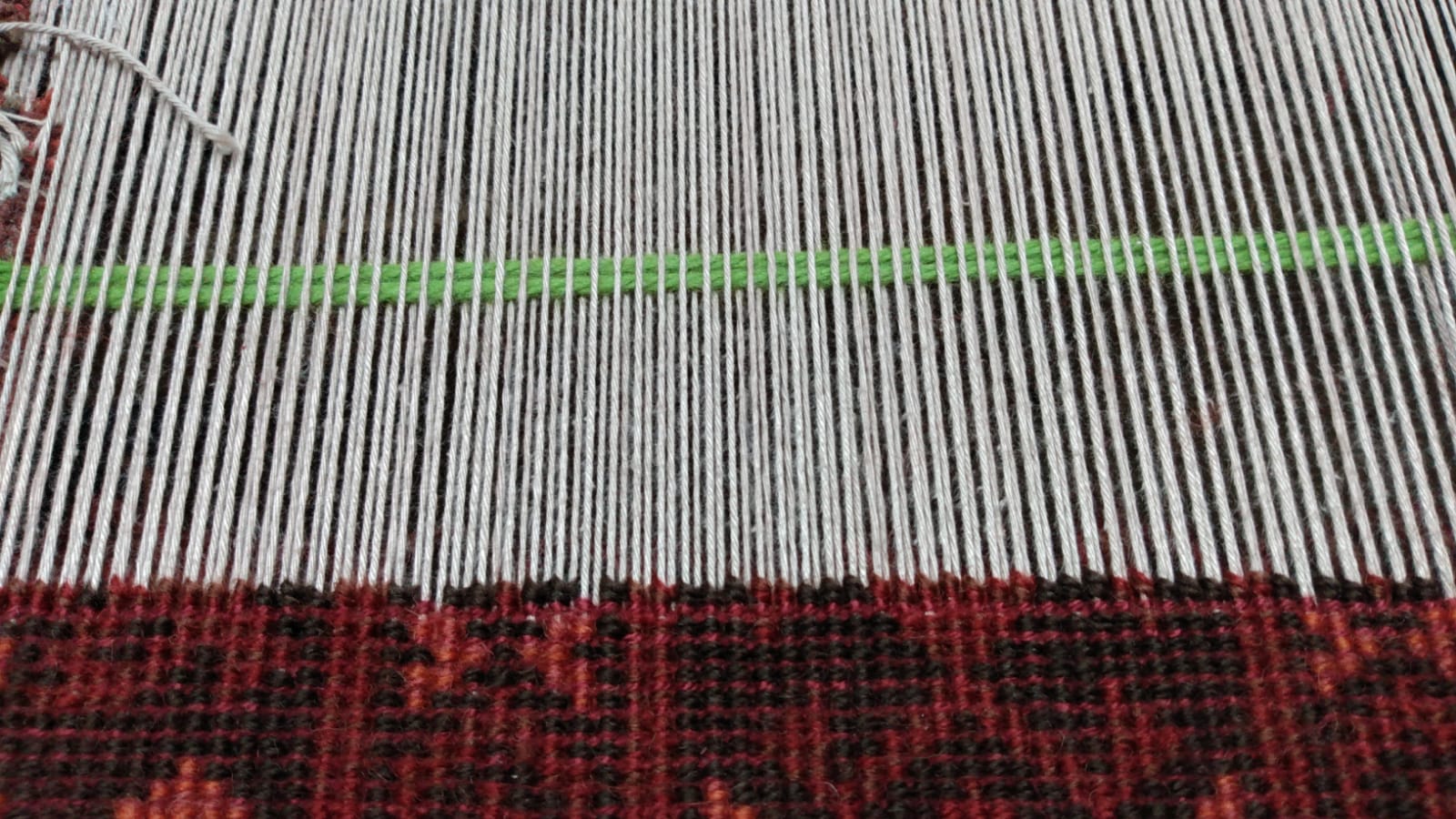 Limpeza de Tapete