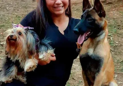 Adestramento de Cachorro Preço
