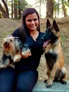 Adestramento de Cachorro Preço