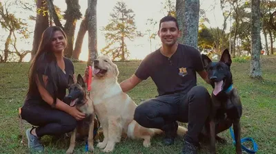 Adestramento Positivo de Cães