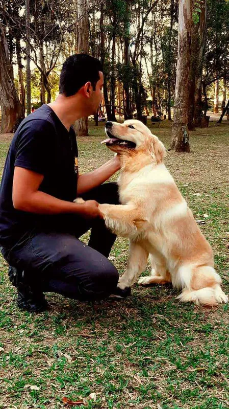 Adestramento Profissional de Cães Preço