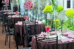 Cadeiras para Eventos