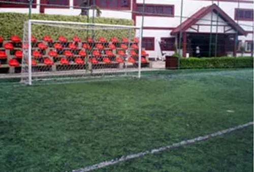Campo de Grama Sintética