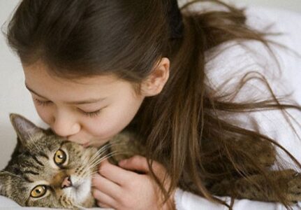 Insuficiencia Renal em Gatos